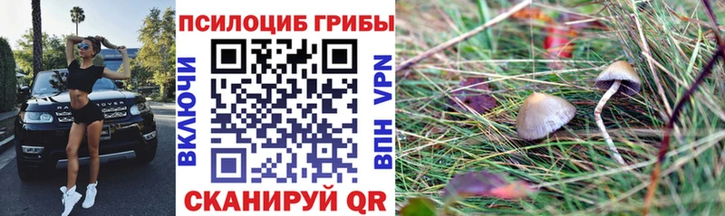 где купить наркотик  Белореченск  мега зеркало  Псилоцибиновые грибы мухоморы 